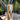 Hammock Eyelet