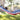 'Merica Hammock