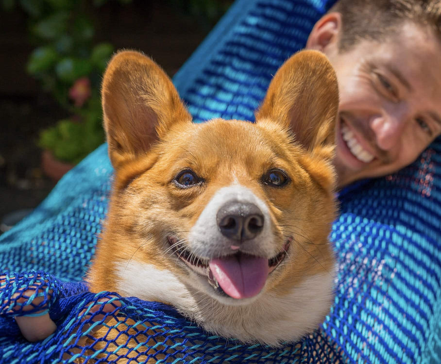 Handwoven Hammock by Yellow Leaf Hammocks Family Size, Fits  PPL, 550lb max Weathersafe, Super Strong, Easy to Hang, Ultra Soft, Artisan Made