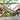 Mojave Hammock