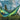St. Lucia Hammock